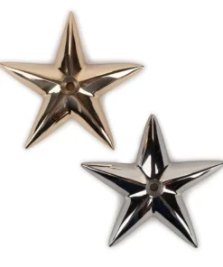 Davey & Company LTD Bronze Good Fortune Star