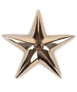 Davey & Company LTD Bronze Good Fortune Star
