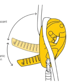 Petzl I'D L Descender