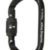 Sterling Rope Sterling Osprey Screwlock Oval Carabiner